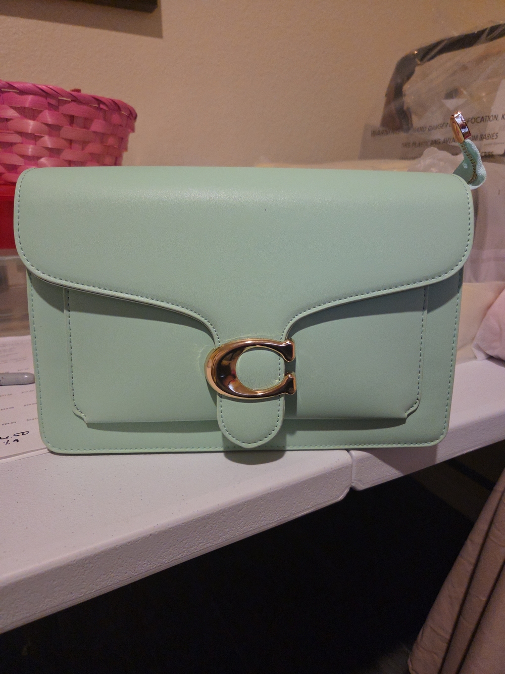 Mint Green Leather Crossbody Bag with Gold Hardware